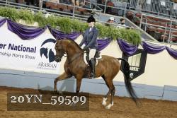 20YN_59509 thumbnail