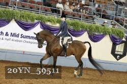 20YN_59511 thumbnail