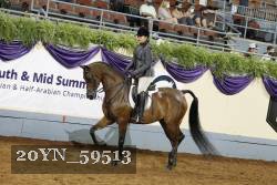 20YN_59513 thumbnail