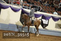 20YN_59515 thumbnail