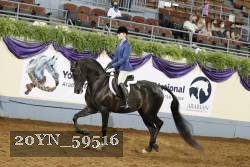 20YN_59516 thumbnail