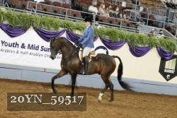 20YN_59517 thumbnail