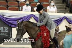 20YN_59572 thumbnail
