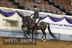20YN_59585 thumbnail