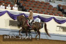 20YN_59614 thumbnail