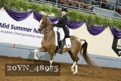20YN_48975 thumbnail