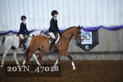 20YN_47018 thumbnail