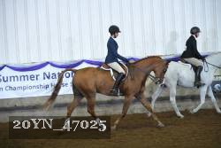 20YN_47025 thumbnail
