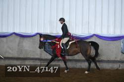 20YN_47147 thumbnail