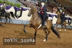 20YN_34981 thumbnail
