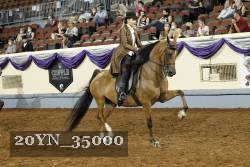 20YN_35000 thumbnail