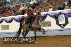 20YN_36831 thumbnail