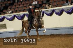 20YN_36835 thumbnail