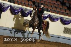 20YN_36904 thumbnail