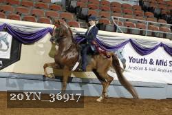 20YN_36917 thumbnail