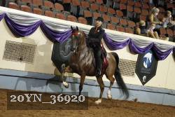20YN_36920 thumbnail
