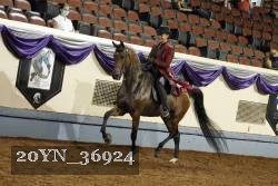20YN_36924 thumbnail