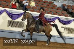 20YN_36927 thumbnail