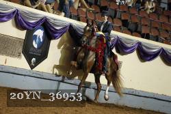 20YN_36953 thumbnail