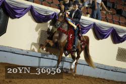 20YN_36956 thumbnail