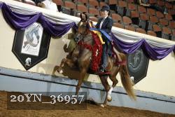 20YN_36957 thumbnail