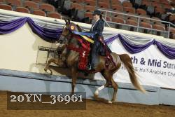 20YN_36961 thumbnail