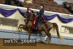 20YN_36962 thumbnail