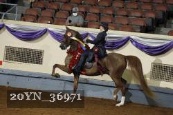 20YN_36971 thumbnail