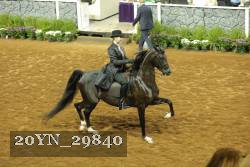 20YN_29840 thumbnail