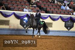 20YN_29871 thumbnail