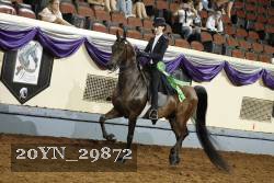 20YN_29872 thumbnail