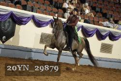 20YN_29879 thumbnail