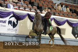 20YN_29880 thumbnail