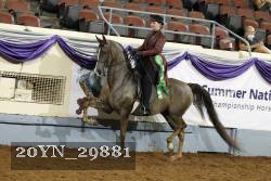 20YN_29881 thumbnail