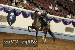 20YN_29882 thumbnail