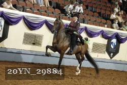 20YN_29884 thumbnail