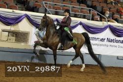 20YN_29887 thumbnail
