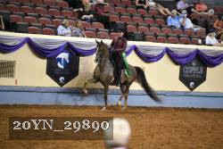 20YN_29890 thumbnail