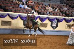 20YN_29891 thumbnail
