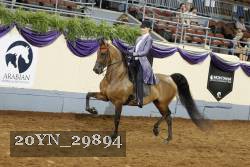 20YN_29894 thumbnail