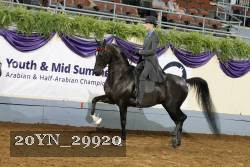 20YN_29920 thumbnail