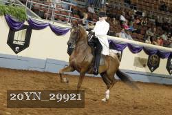 20YN_29921 thumbnail