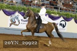 20YN_29922 thumbnail