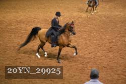 20YN_29925 thumbnail
