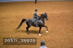 20YN_29929 thumbnail