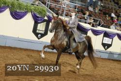 20YN_29930 thumbnail