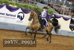 20YN_29931 thumbnail