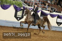 20YN_29932 thumbnail