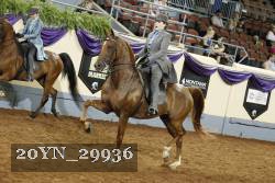 20YN_29936 thumbnail
