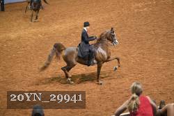 20YN_29941 thumbnail